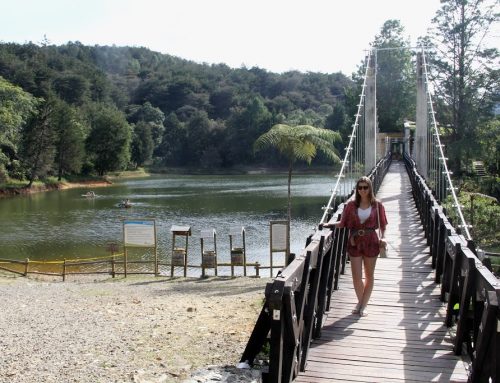 Viagem: Medellín e Guatapé, Colômbia